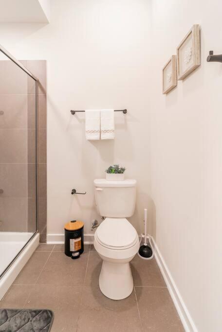 Charming Cozy Apartment With Wi-Fi & Free Parking Charlotte Luaran gambar
